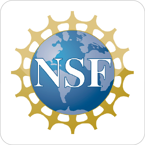 NSF - National Science Foundation